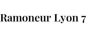 Ramoneur Lyon 7
